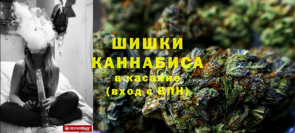 хмурый Липки