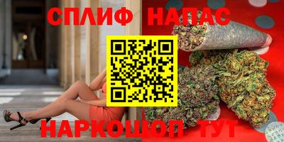 ECSTASY Камышлов