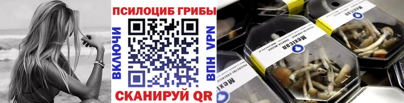 Псилоцибиновые грибы мухоморы  наркота  Нижневартовск 