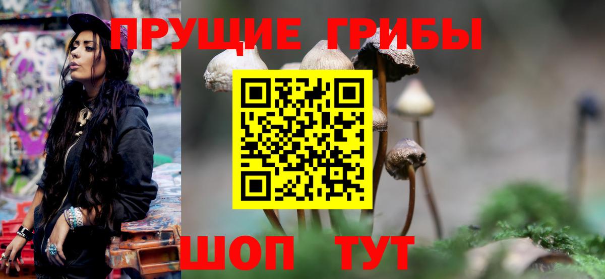 Псилоцибиновые грибы Cubensis  Вход с VPN  Галлюциногенные грибы мухоморы  Нижневартовск 